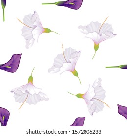Purple Calla. White Hibiscus. Vector illustration. Seamless background pattern. Floral botanical flower. Wild leaf wildflower isolated. Exotic tropical hawaiian jungle. Fabric wallpaper print texture.