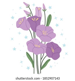 Púrpura 
Campanula sobre un fondo blanco.Ilustración simple.Plantilla vectorial de tarjeta de felicitación floral. Elemento de diseño de imágenes prediseñadas.