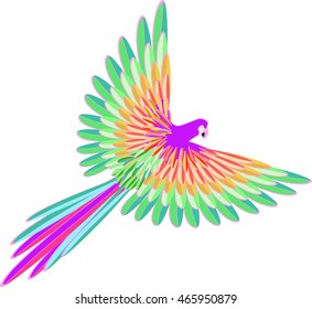 purple Caribbean the parrot flying vector illustration