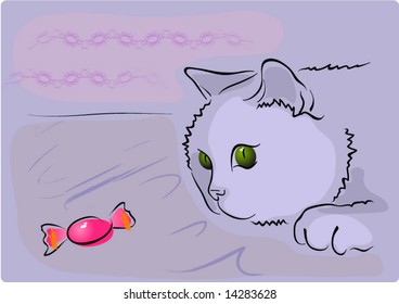 purple cat with sweet on the floor