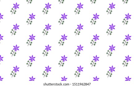 Purple Catmint Flower with Levaes Pattern Background