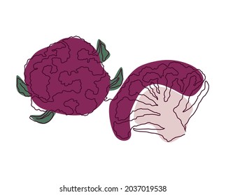 purple cauliflower whole and cut in half drawn in one solid line against a background of abstract spots of purple and green on a white background