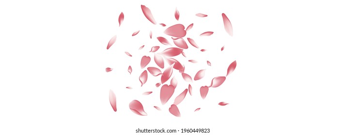 Purple Cherry Petal Vector Panoramic Background. Transparent Springtime Apple Petal Poster. Flower Petal Fresh Illustration. Beauty Sakura Petal Banner.