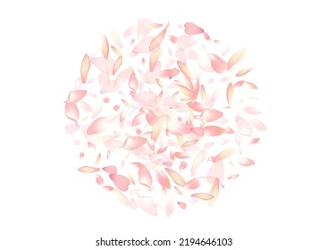 Purple Cherry Petal Vector White Background. White Spa Apple Petal Design. Rose Petal Realistic Banner. Free Lotus Petal Congratulation.