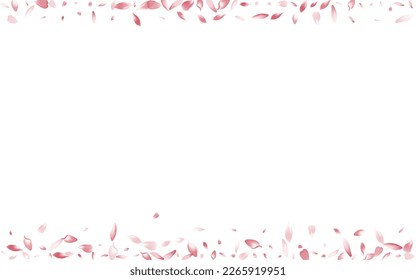 Purple Cherry Petal Vector White Background. Pink Wedding Sakura Petal Card. Lotus Petal Romantic Frame. Fresh Flower Petal Illustration.