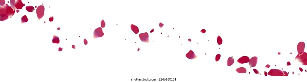 Purple Cherry Tender Vector White Panoramic Background. Falling Petal Pattern. Delicate Sakura Blur Poster. Beautiful Peach Beauty Illustration.