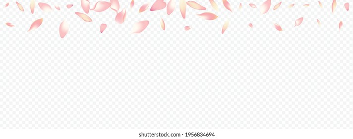 Purple Cherry Vector Panoramic Transparent Background. Heart Romance Poster. Leaf Nature Pattern. Apple Spa Congratulation. White Rosa Romantic Cover.