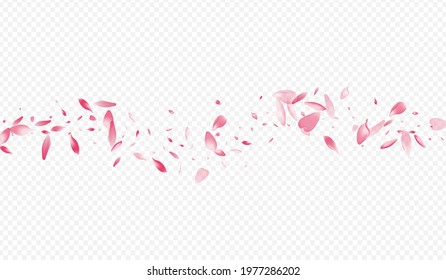 Purple Cherry Vector Transparent Background. Floral Dream Design. Confetti Free Pattern. Rose Invitation Cover. Light Flower Flutter Congratulation.