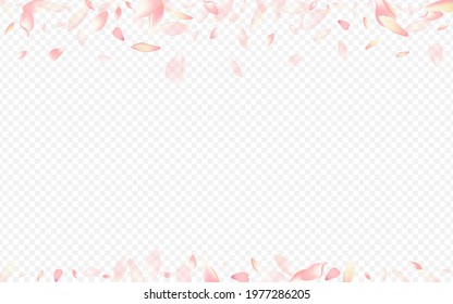 Purple Cherry Vector Transparent Background. Rose SummerDrop Congratulation. Blossom Mother Card. Leaf Feminine Banner. Light Flower Overlay Backdrop.