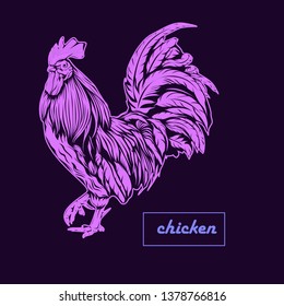 purple chicken illustration