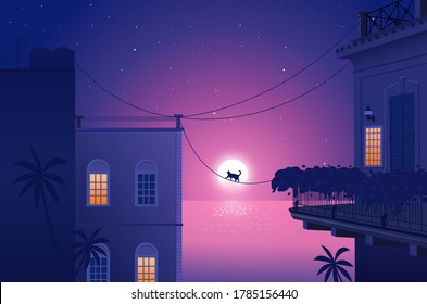 purple city, colour,cat walking,city or landscape