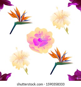 Purple Clematis. Orange Strelitzia Reginae. Yellow hibiscus. Yellow Magnolia. Vector illustration. Seamless background pattern. Floral botanical flower. Wild leaf wildflower isolated. Exotic.