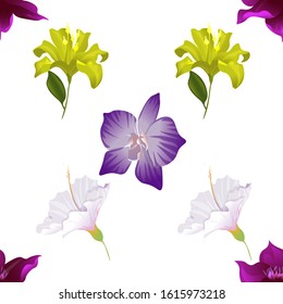 Purple Clematis. Yellow Lilium. White Hibiscus. Purple orchid. Vector illustration. Seamless background pattern. Floral botanical flower. Wild leaf wildflower isolated. Exotic tropical hawaiian.