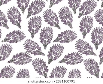 Purple Clover flower vector drawing on white background. Isolated wild plant and leaves. Herbal engraved style illustration. Detailed botanical sketch


