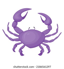 Purple color crab drawing, vector illustration