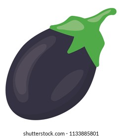 A purple colored egg plant with small green leaves, bringle 