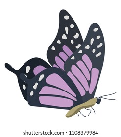 
A purple colored Essex Emerald Butterfly icon design
