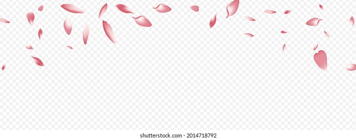 Purple Confetti Vector Panoramic Transparent Background. Bloom Rain Card. Blossom Spa Template. Apple Free Backdrop. White Leaf Beauty Congratulation.