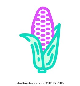 purple corn color icon vector. purple corn sign. isolated symbol illustration