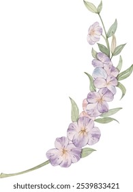 Córnea Roxa Planta Aquarela Ilustração

