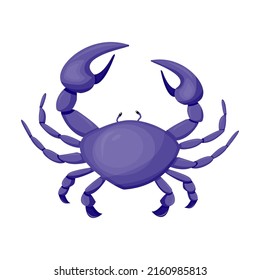 purple crab, drawing on a white background, vector illustration