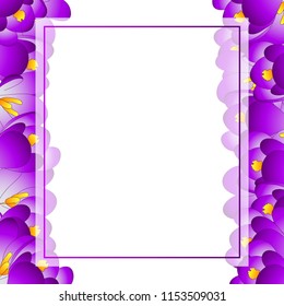 Purple Crocus Flower Banner Card Border. Vector Illustration.
