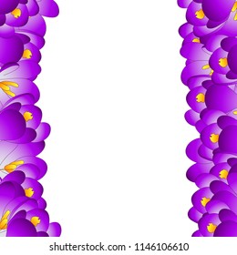 Purple Crocus Flower Border. Vector Illustration.