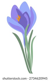 Purple crocus flower isolated on white background in a clean minimal vector style. Ideal for spring designs, botanical projects, floral compositions, logos and decorative elements.