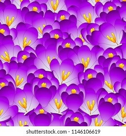Purple Crocus Flower Seamless Background. Vector Illustration.