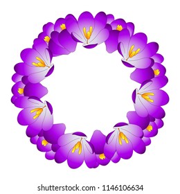 Purple Crocus Flower Wreath. Vector Illustration.