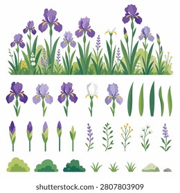 Purple crocus flowers blooming in a grassy meadow during springtime