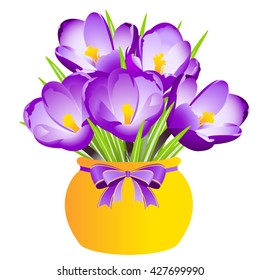 Purple Crocus in Vase on a White Background. Vector Illustration.