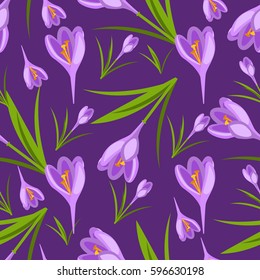 Purple crocuses in the snow vector. Spring violet crocuses on white. Floral nature spring illustration crocus flower. Spring crocus flower. Greeting easter card crocus flower. Beautiful crocus flower
