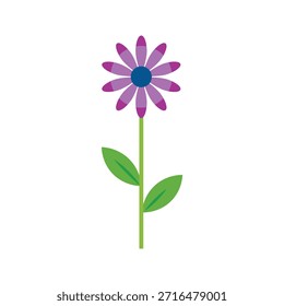Ilustración vectorial plana de flor de margarita púrpura con tallo verde y hojas sobre fondo blanco