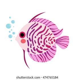 Purple Discus Fish animal cartoon character isolated on white background.