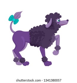 Purple dog, boy Poodle breed. Curly sheared wool. Caring for animals, decoration bansta on the tail. Paw raised. Pet friend of man. Vector illustration