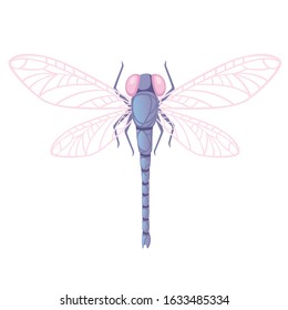 Purple dragonfly with big yellow eyes flat vector illustration isolated on white background