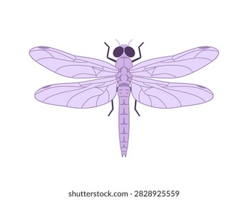Purple Dragonfly Vector Illustration Isolated on White Background
