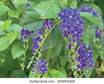 Purple duranta erecta flowers in nature