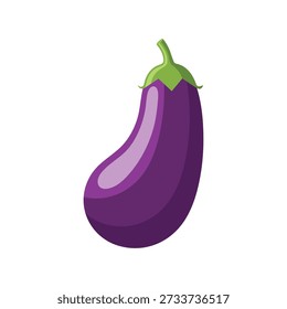 Purple eggplant flat vector illustration isolated on white background