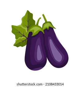 Purple eggplant icon. Whole healthy vegetables and green leaves, harvesting. Delicious food for salad and cooking. Vector flat illustration