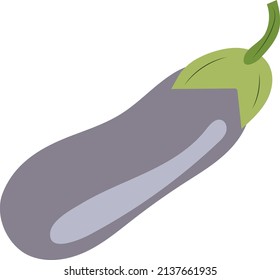 Purple eggplant. Single isolated element. Vector.