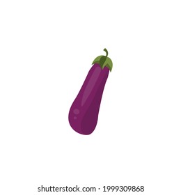 Purple Eggplant Vector flat design illustration, Cartoon style eggplant or aubergine hand drawn flat vector icon isolated on white background. Fresh vegetable aubergine iİllustration in flat style