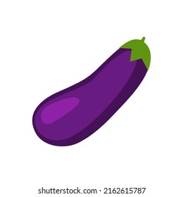 Purple eggplant vector illustration in flat design. Illustration of summer food concept isolated on a white background.
