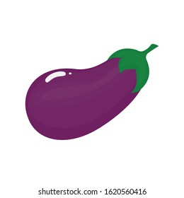 purple  eggplant vector illustration  vegetable