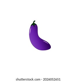 purple eggplant vegetable illustration vector