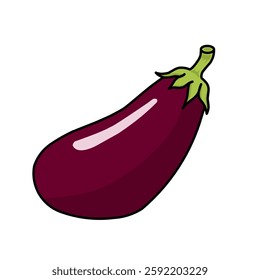 purple eggplant vegetable vector illustration