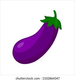 purple eggplant vegetarian vegetable vector