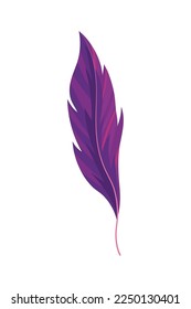 purple feather icon isolated style