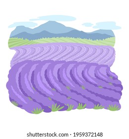 purple fields, green meadows and mountains. farm panoramic scenery view. beautiful handmade digital modern art. countryside rural landscape with field flowers. eco area with blue sky and clouds